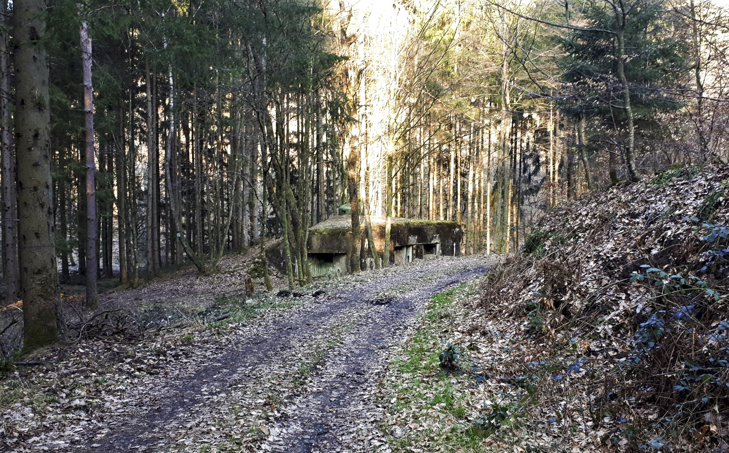 Ligne Maginot - SAEGEMUHLE - (Blockhaus pour arme infanterie) - Le blockhaus vu depuis le vallon de Guensthal, à l'ouest - Gregory Fuchs