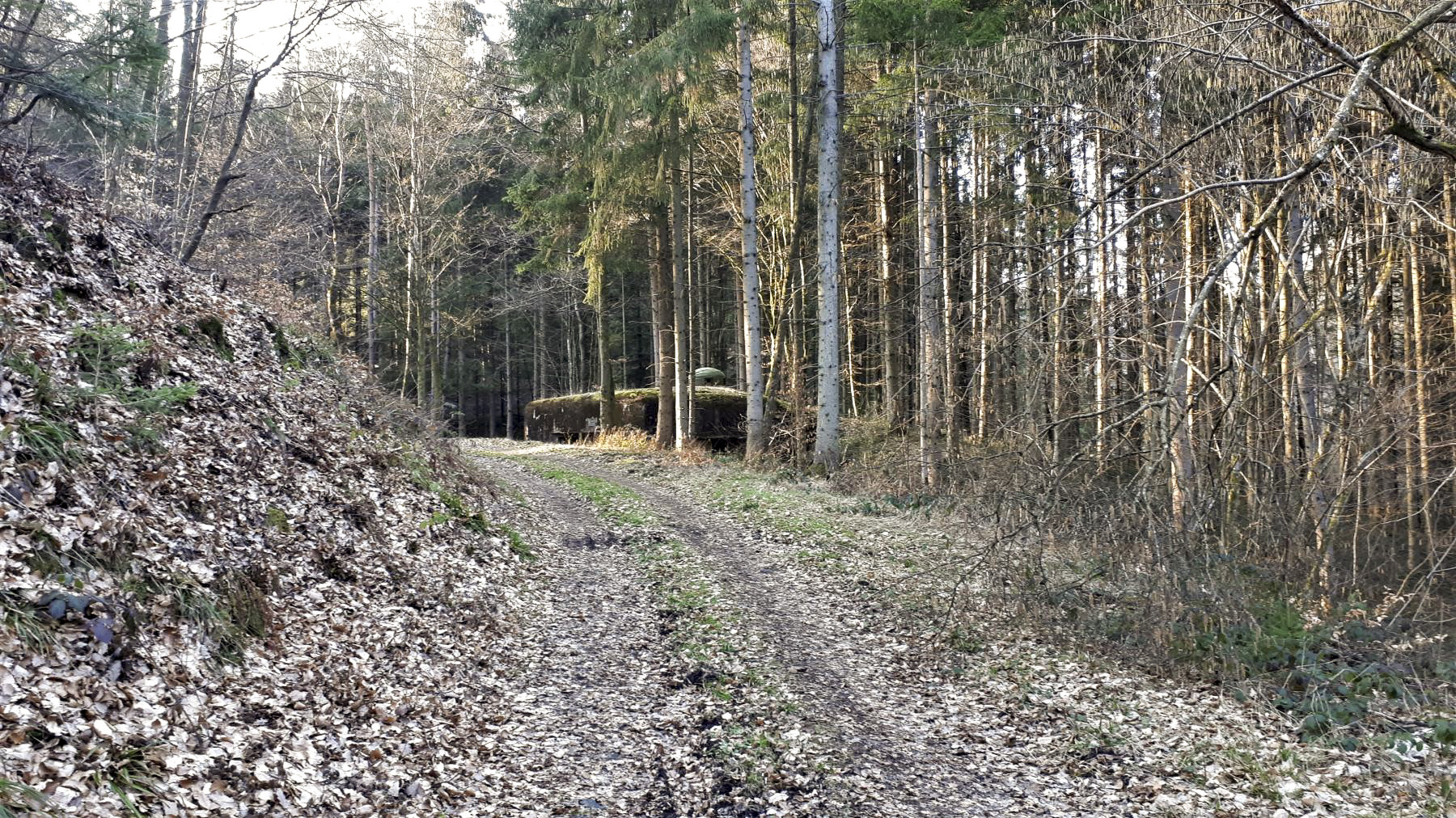 Ligne Maginot - SAEGEMUHLE - (Blockhaus pour arme infanterie) - Le blockhaus vu depuis la vallée du Soultzbach, à l'est - Gregory Fuchs