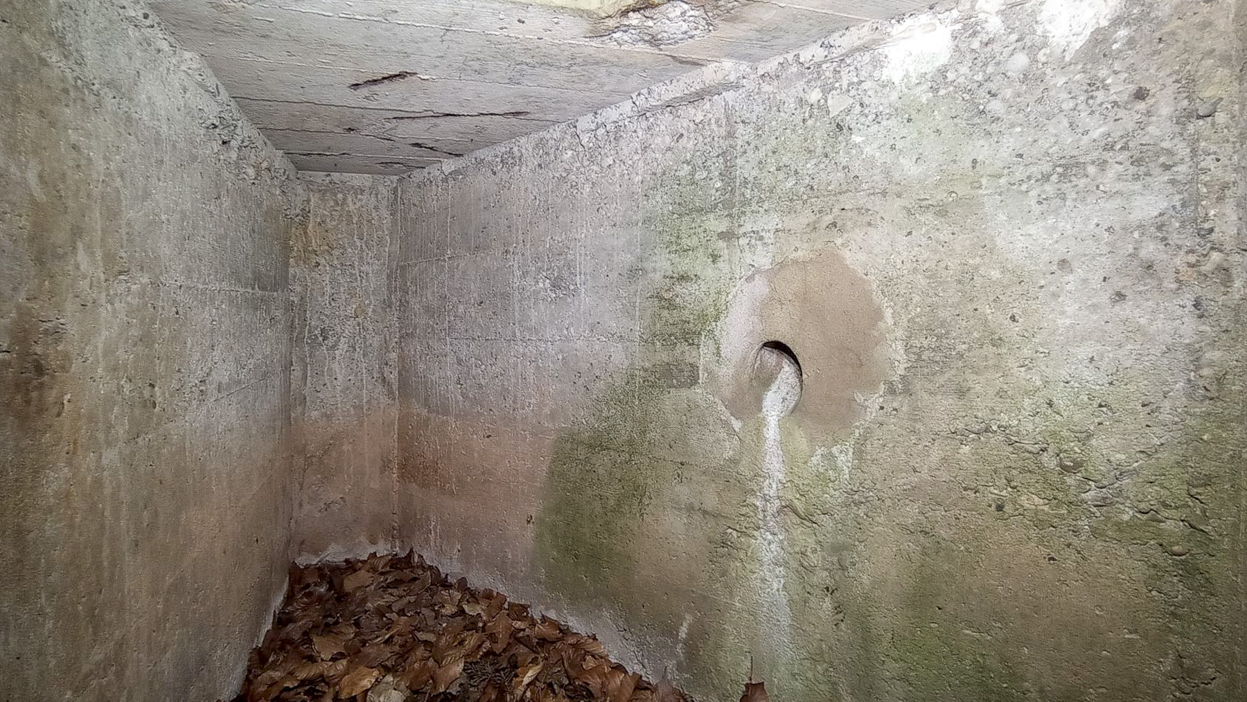 Ligne Maginot - SAEGEMUHLE - (Blockhaus pour arme infanterie) - Fosse d'évacuation des douilles de la chambre de tir ouest  - Baptiste GAUDIN