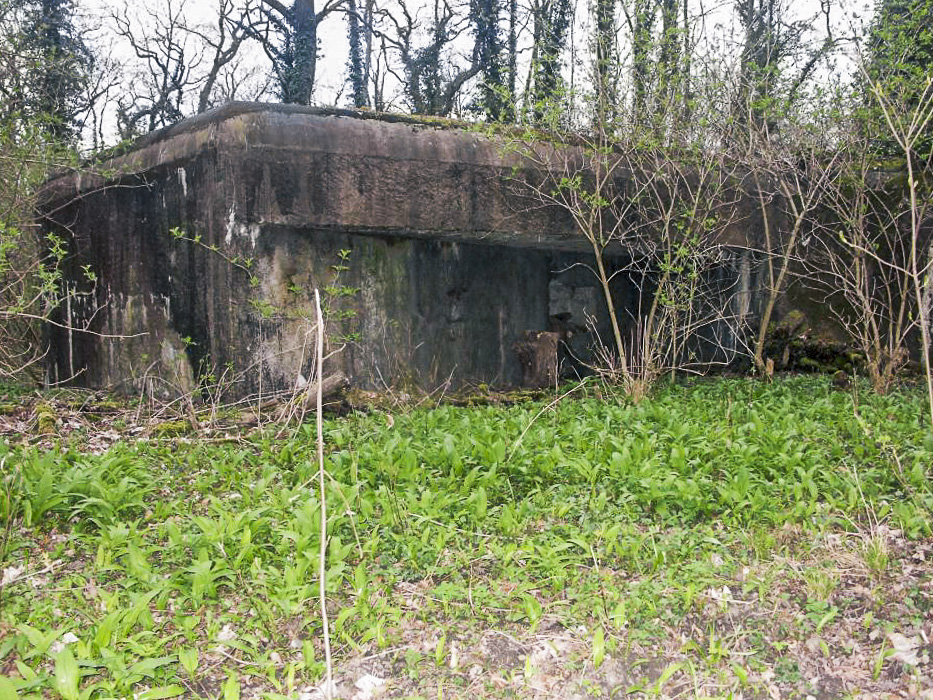 Ligne Maginot - 1 - UNTERJAEGERHOF - (PC de Sous-Quartier) -  - LAMBERT Pascal