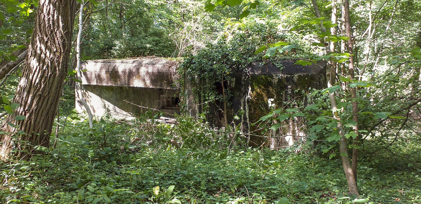 Ligne Maginot - 1 - UNTERJAEGERHOF - (PC de Sous-Quartier) - Façade chambre de tir - Les Gardiens du Rhin