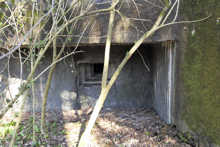 Ligne Maginot - 1 - UNTERJAEGERHOF - (PC de Sous-Quartier) - Créneau - A. SCHOEN