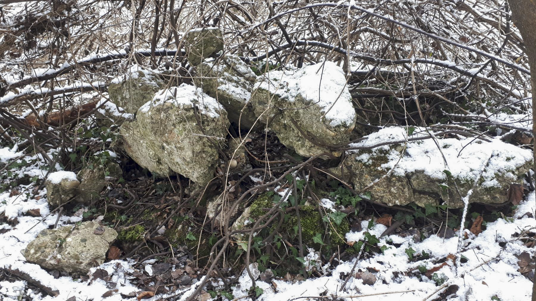Ligne Maginot - 19 - ROHRKOPF NORD - (Blockhaus de type indeterminé) -  - Les Gardiens du Rhin