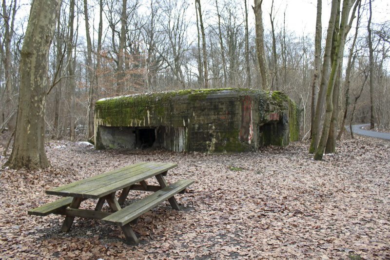 Ligne Maginot - 21 - LESERWOERTH - (Casemate d'infanterie - Simple) - Vue générale - Les Gardiens du Rhin