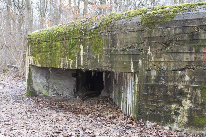 Ligne Maginot - 21 - LESERWOERTH - (Casemate d'infanterie - Simple) - Créneau sud-ouest - Les Gardiens du Rhin