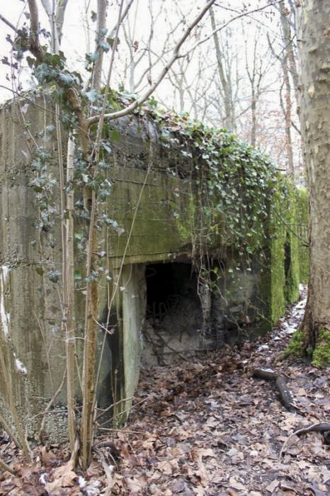 Ligne Maginot - 21 - LESERWOERTH - (Casemate d'infanterie - Simple) - Créneau nord est - Les Gardiens du Rhin