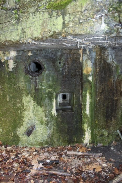 Ligne Maginot - 21 - LESERWOERTH - (Casemate d'infanterie - Simple) - Créneau de défense de l'entrée - Les Gardiens du Rhin