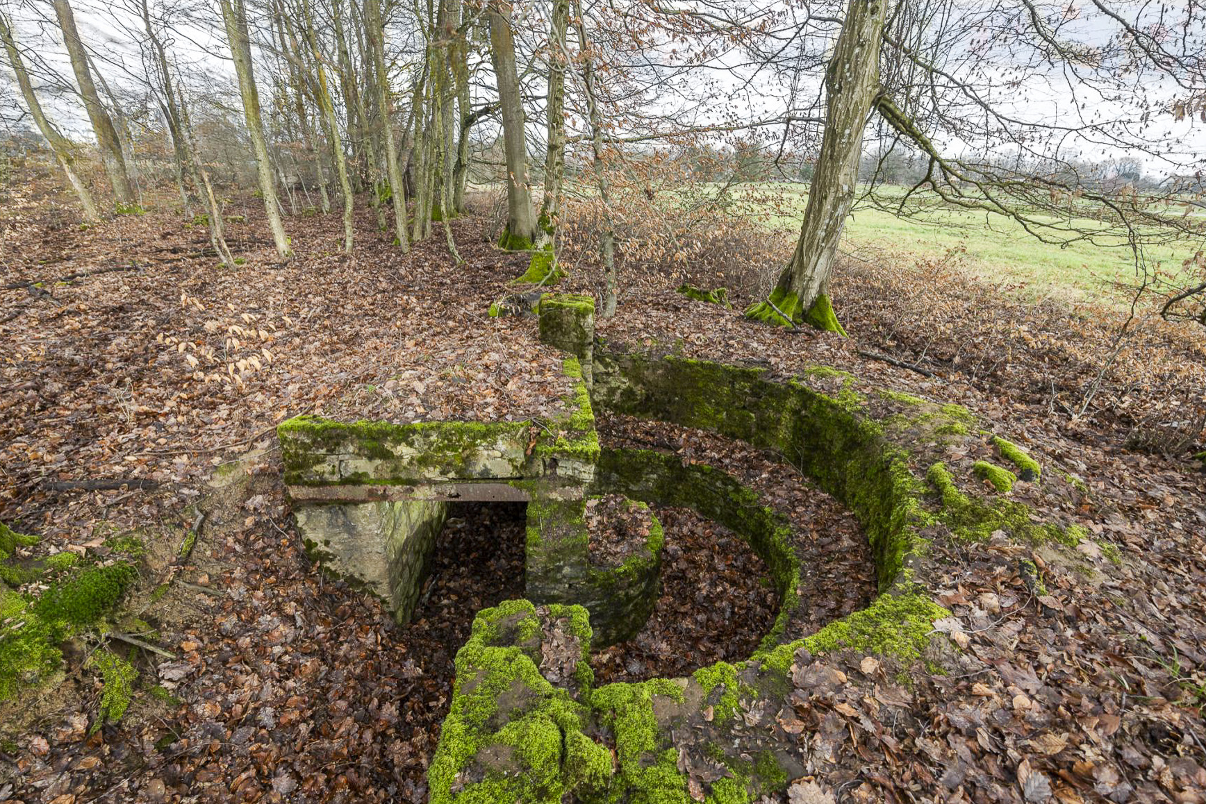 Ligne Maginot - BANNWALD 1 - (Cuve pour arme d'infanterie) - Vue d'ensemble. - Lenhard Christian
