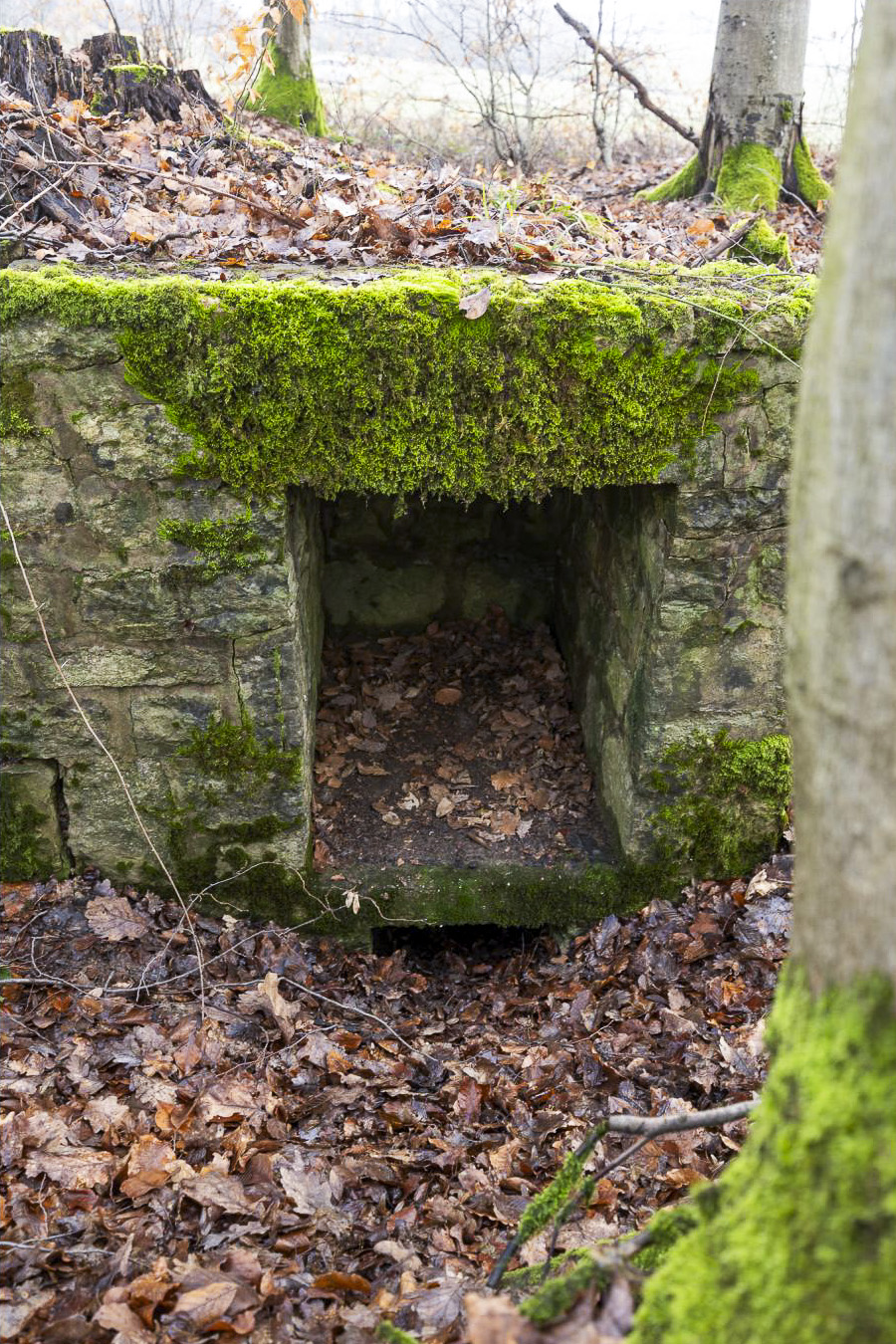 Ligne Maginot - BANNWALD 1 - (Cuve pour arme d'infanterie) - Niche pour munitions. - Lenhard Christian