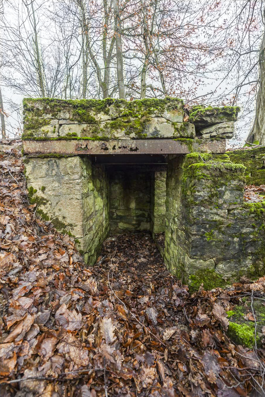Ligne Maginot - BANNWALD 1 - (Cuve pour arme d'infanterie) - L'abri  - Lenhard Christian