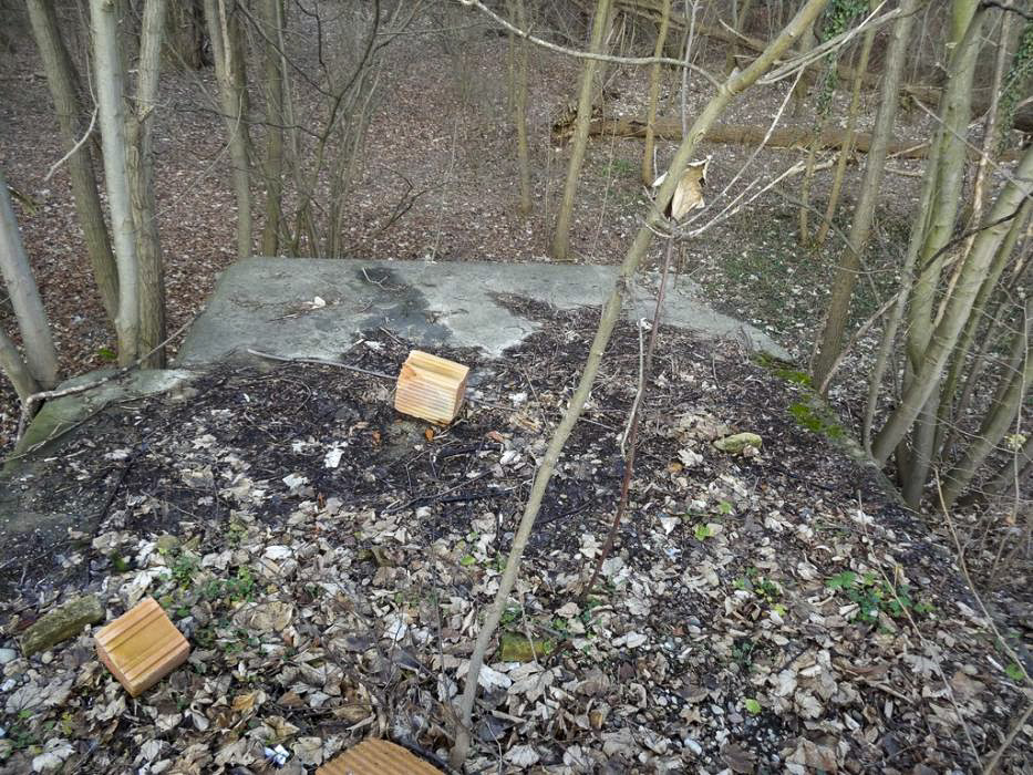 Ligne Maginot - 295A - PORT DU RHIN SUD 28 - (Blockhaus pour arme infanterie) - Dalle du blockhaus - Lionnel SPERANDIO