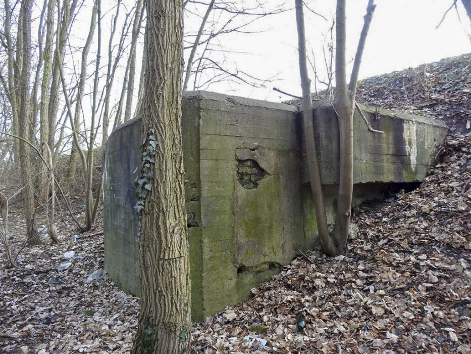 Ligne Maginot - 295A - PORT DU RHIN SUD 28 - (Blockhaus pour arme infanterie) - L'entrée murée et la visière du créneau Ouest - Lionnel SPERANDIO