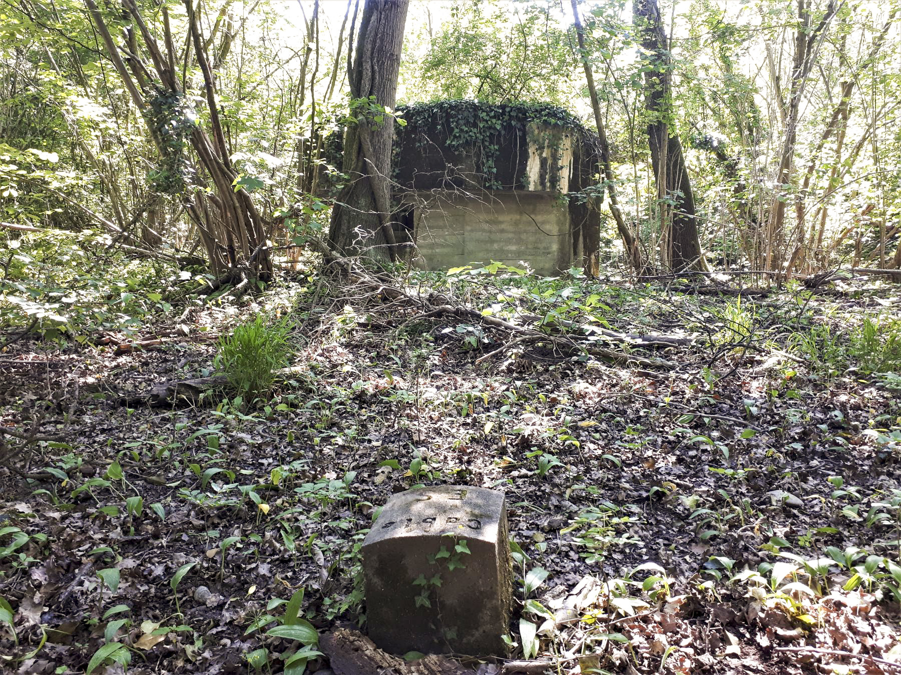 Ligne Maginot - 301A - PORT DU RHIN SUD 35 - (Blockhaus pour arme infanterie) - Borne 'câbles ES' devant le blockhaus - Les Gardiens du Rhin