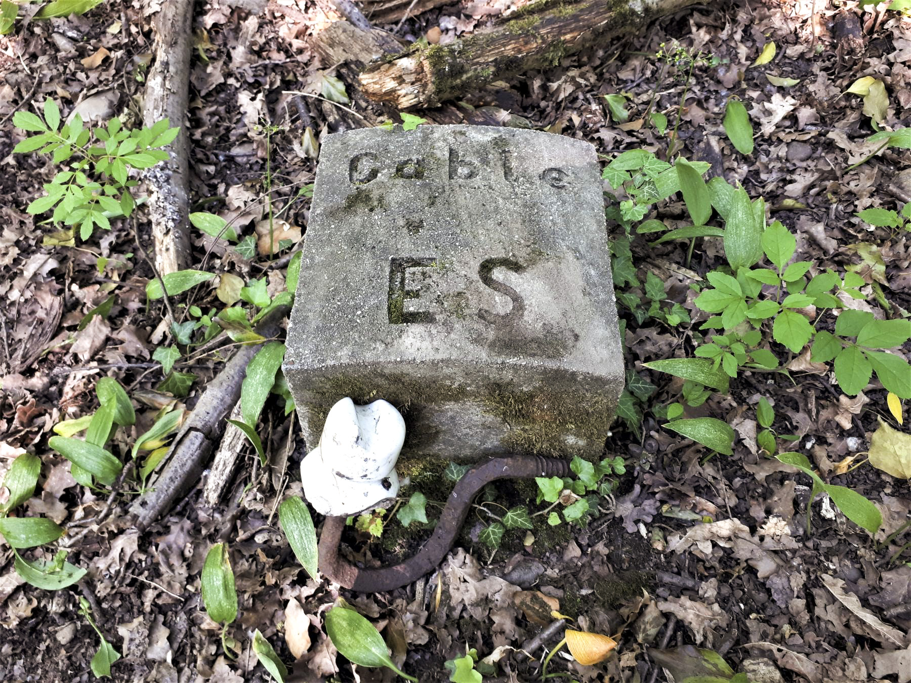 Ligne Maginot - 301A - PORT DU RHIN SUD 35 - (Blockhaus pour arme infanterie) - Vestiges de le voie ferrée qui bordait le blockhaus
Borne 'câble ES' et isolateur de ligne aérienne - Les Gardiens du Rhin