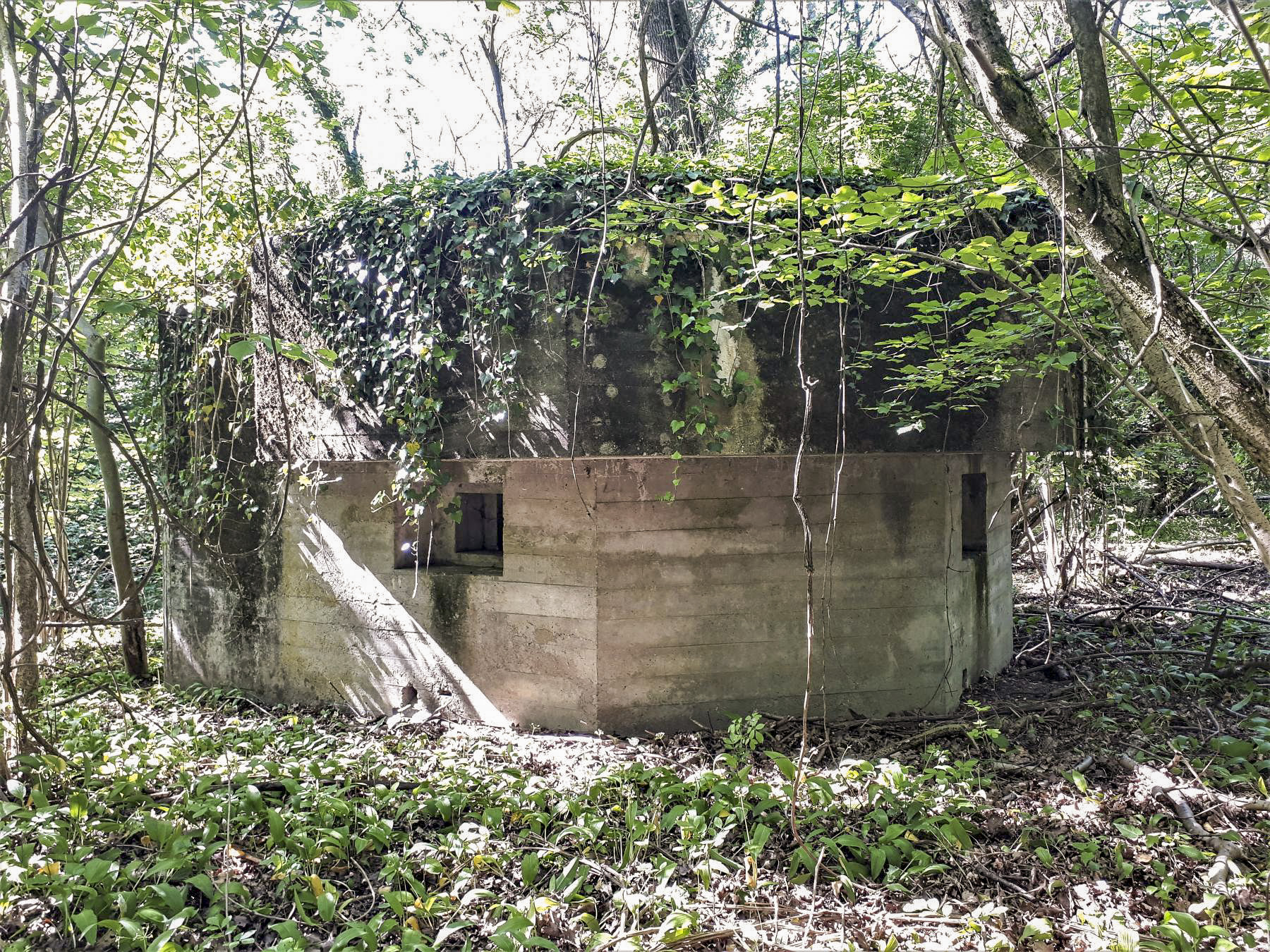 Ligne Maginot - 301A - PORT DU RHIN SUD 35 - (Blockhaus pour arme infanterie) - Les deux créneaux - Les Gardiens du Rhin
