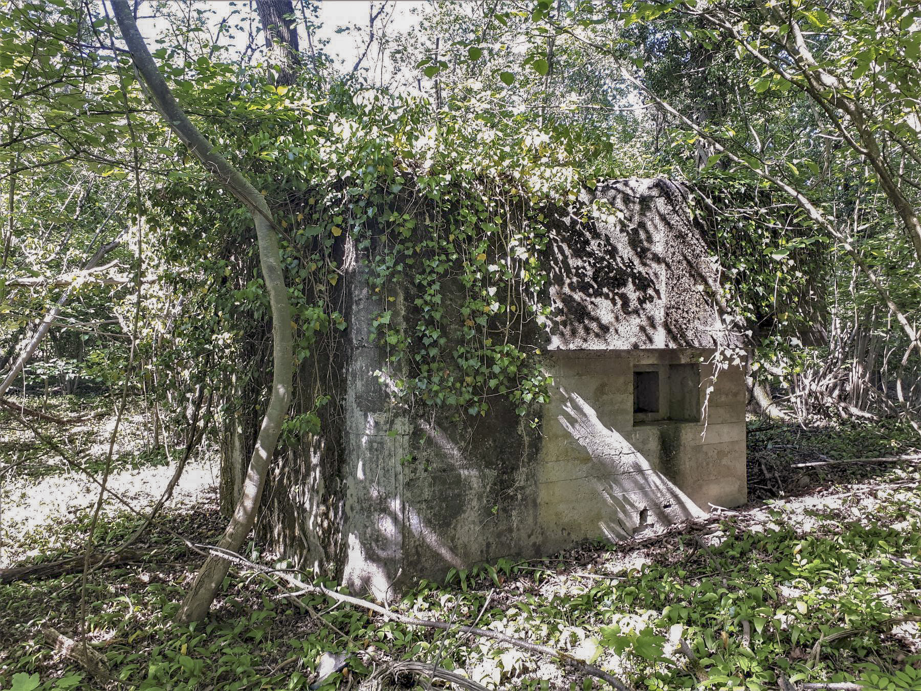 Ligne Maginot - 301A - PORT DU RHIN SUD 35 - (Blockhaus pour arme infanterie) - Créneau Sud - Les Gardiens du Rhin