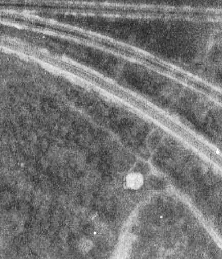 Ligne Maginot - 301A - PORT DU RHIN SUD 35 - (Blockhaus pour arme infanterie) - Le blockhaus 301B en 1964 - IGN - Géoportail 1964