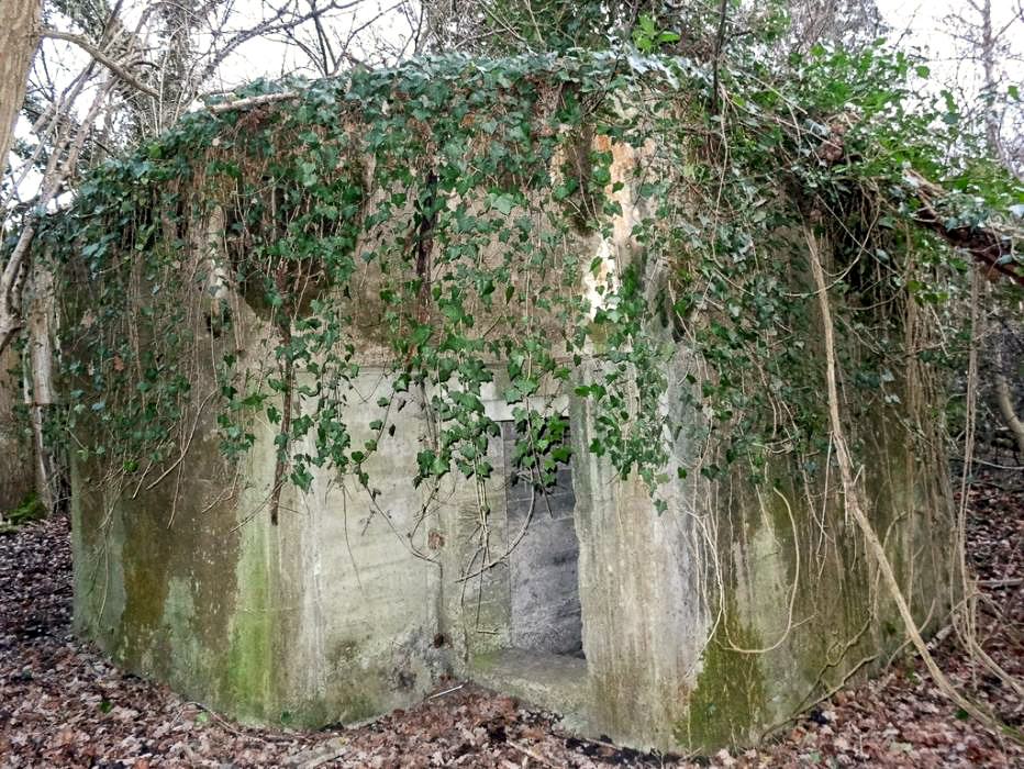 Ligne Maginot - 301A - PORT DU RHIN SUD 35 - (Blockhaus pour arme infanterie) - L'entrée - Lionnel SPERANDIO