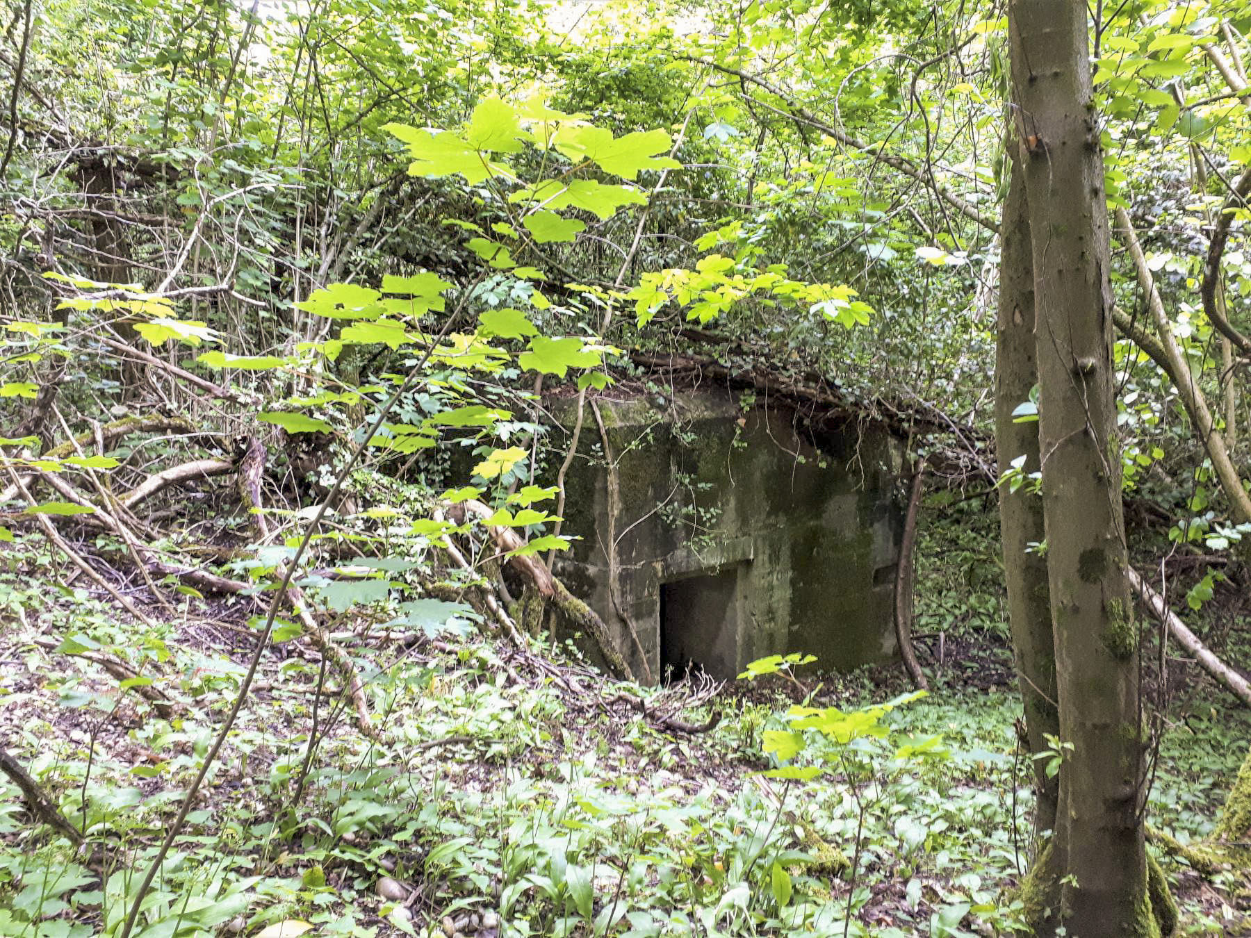 Ligne Maginot - 301B - PORT DU RHIN SUD 34 - (Blockhaus pour arme infanterie) - Le blockhaus au pied du talus de la voie ferrée - Les Gardiens du Rhin