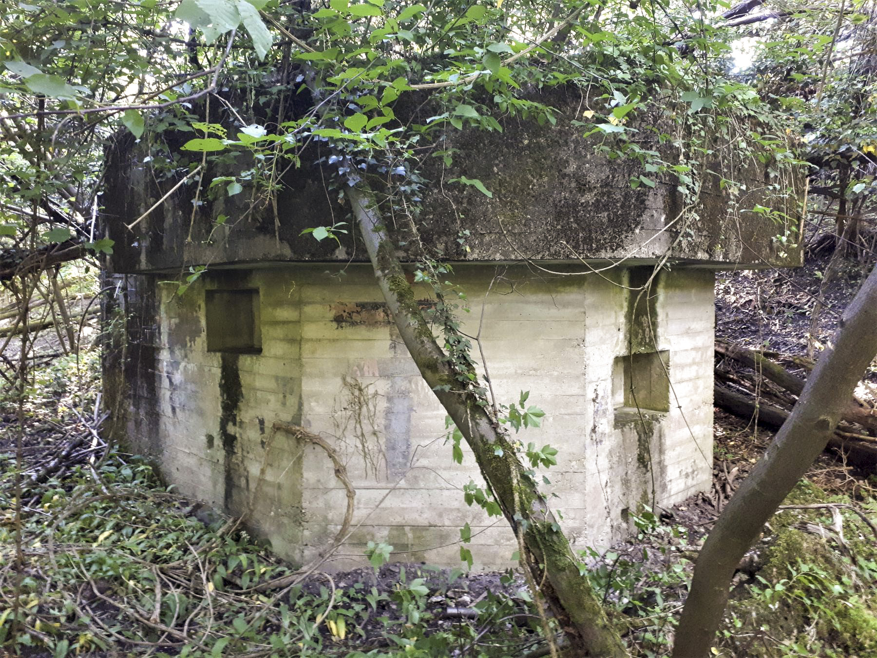 Ligne Maginot - 301B - PORT DU RHIN SUD 34 - (Blockhaus pour arme infanterie) - Vue montrant le décalage en hauteur des créneaux - Les Gardiens du Rhin