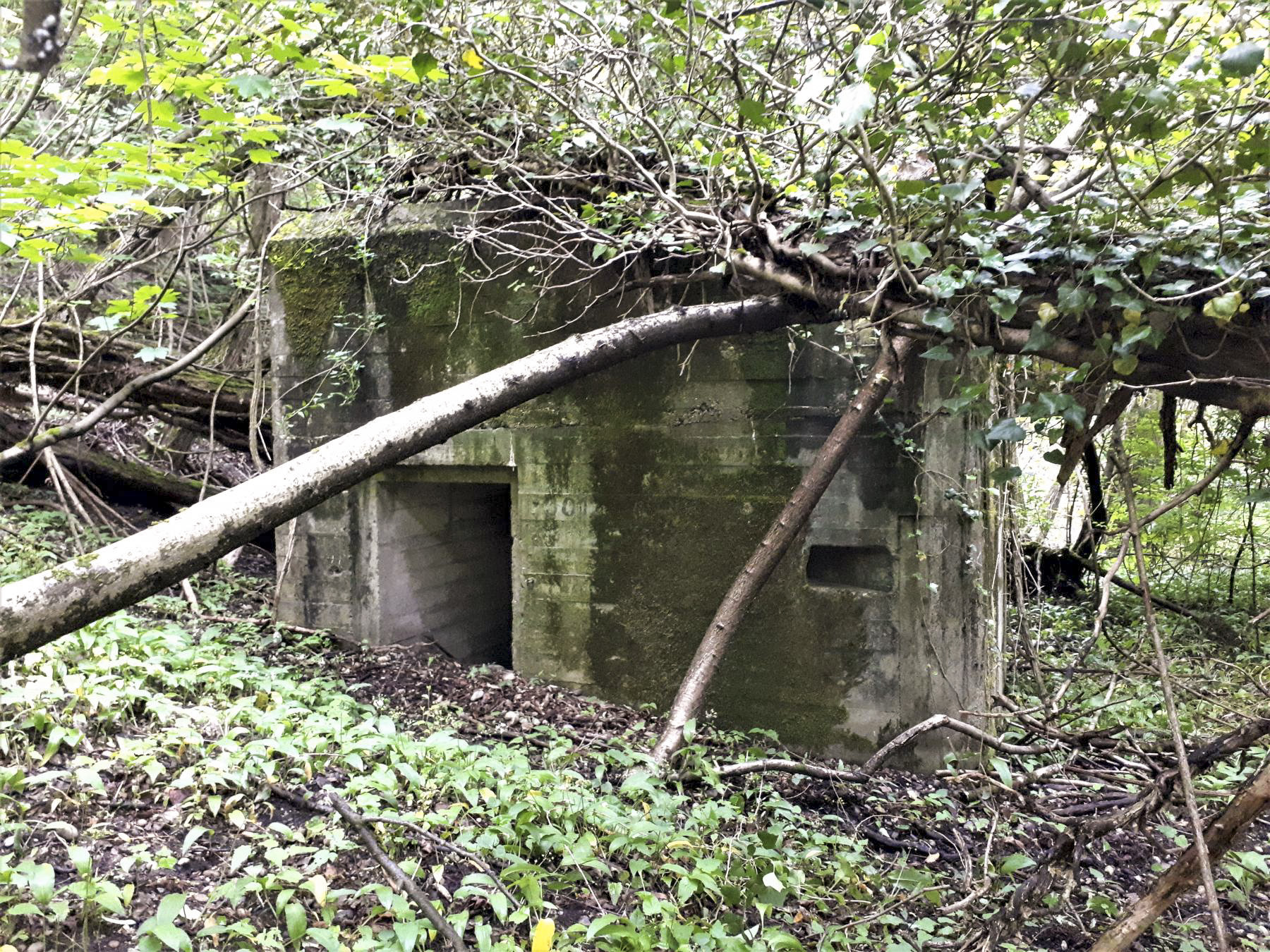 Ligne Maginot - 301B - PORT DU RHIN SUD 34 - (Blockhaus pour arme infanterie) - Entrée et créneau de défense rapprochée - Les Gardiens du Rhin