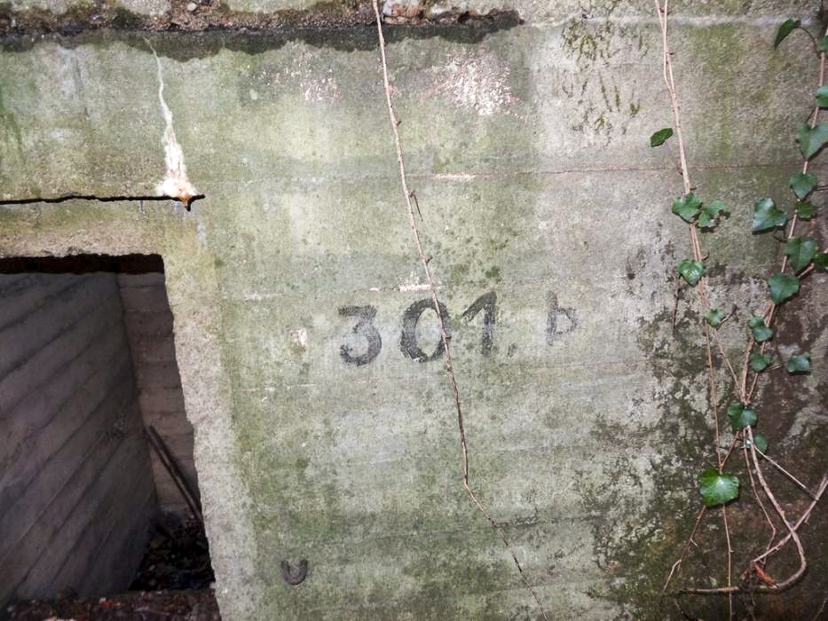 Ligne Maginot - 301B - PORT DU RHIN SUD 34 - (Blockhaus pour arme infanterie) - N° d'inventaire 301 b - Lionnel SPERANDIO