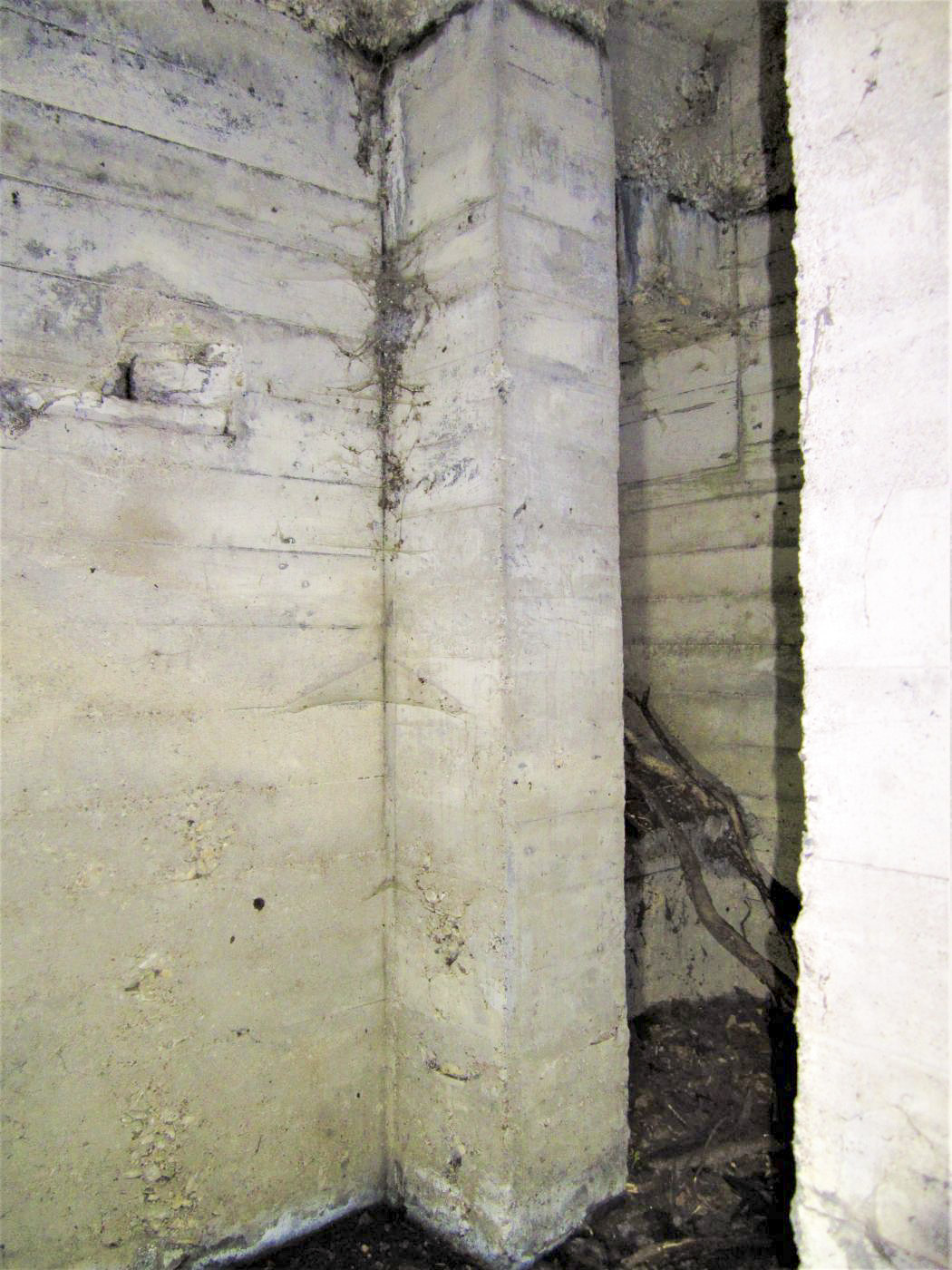 Ligne Maginot - 301B - PORT DU RHIN SUD 34 - (Blockhaus pour arme infanterie) - L'entrée en chicane - Les Gardiens du Rhin