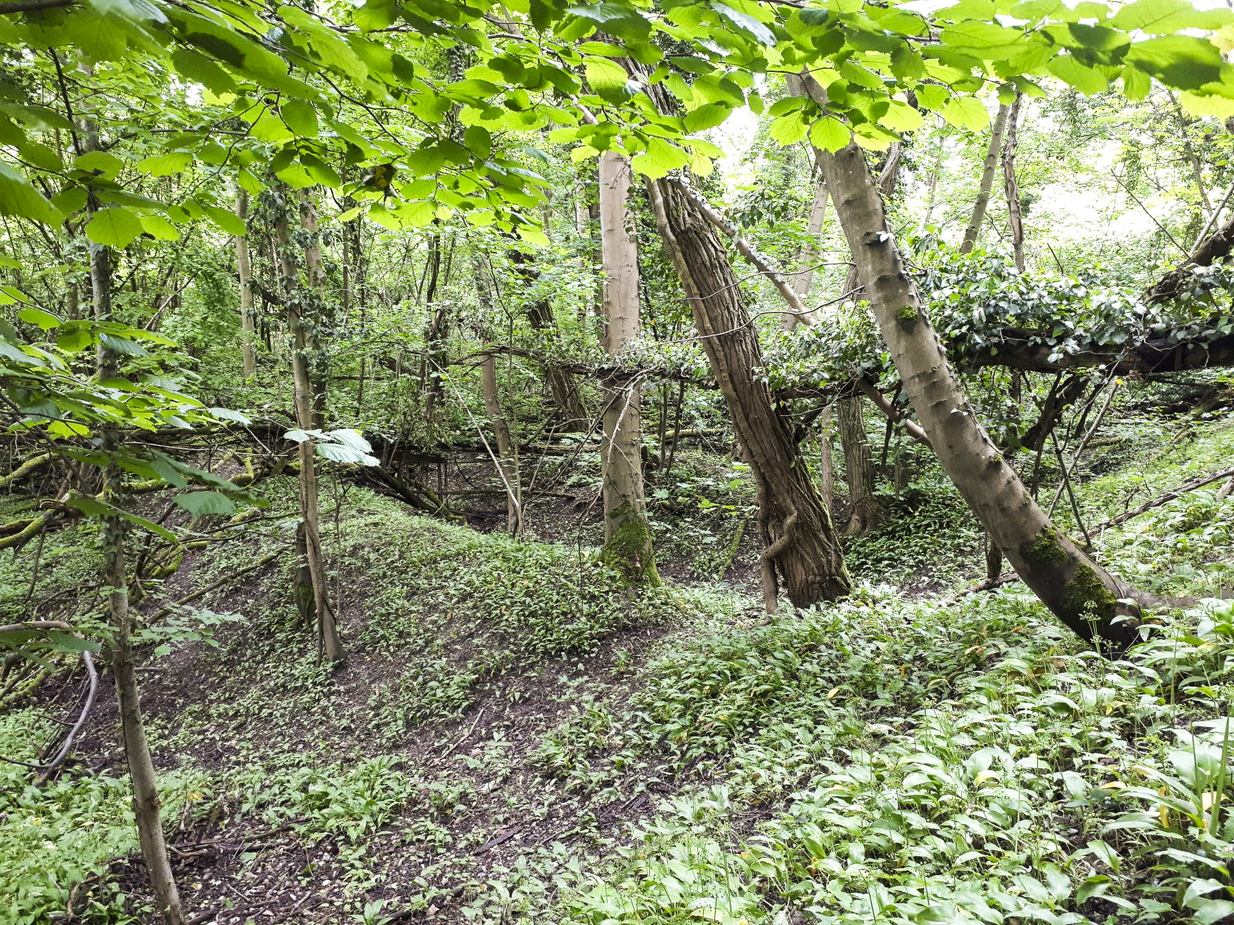 Ligne Maginot - 301B - PORT DU RHIN SUD 34 - (Blockhaus pour arme infanterie) - Les travées de l'ancien stand de tir de la Klebsau sont encore visibles à proximité du blockhaus - Les Gardiens du Rhin