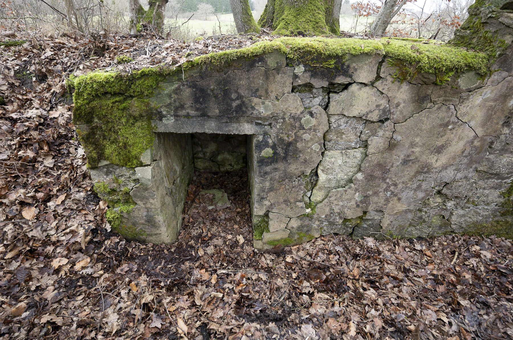 Ligne Maginot - BANNWALD 3 - (Cuve pour arme d'infanterie) -  - Lenhard Christian