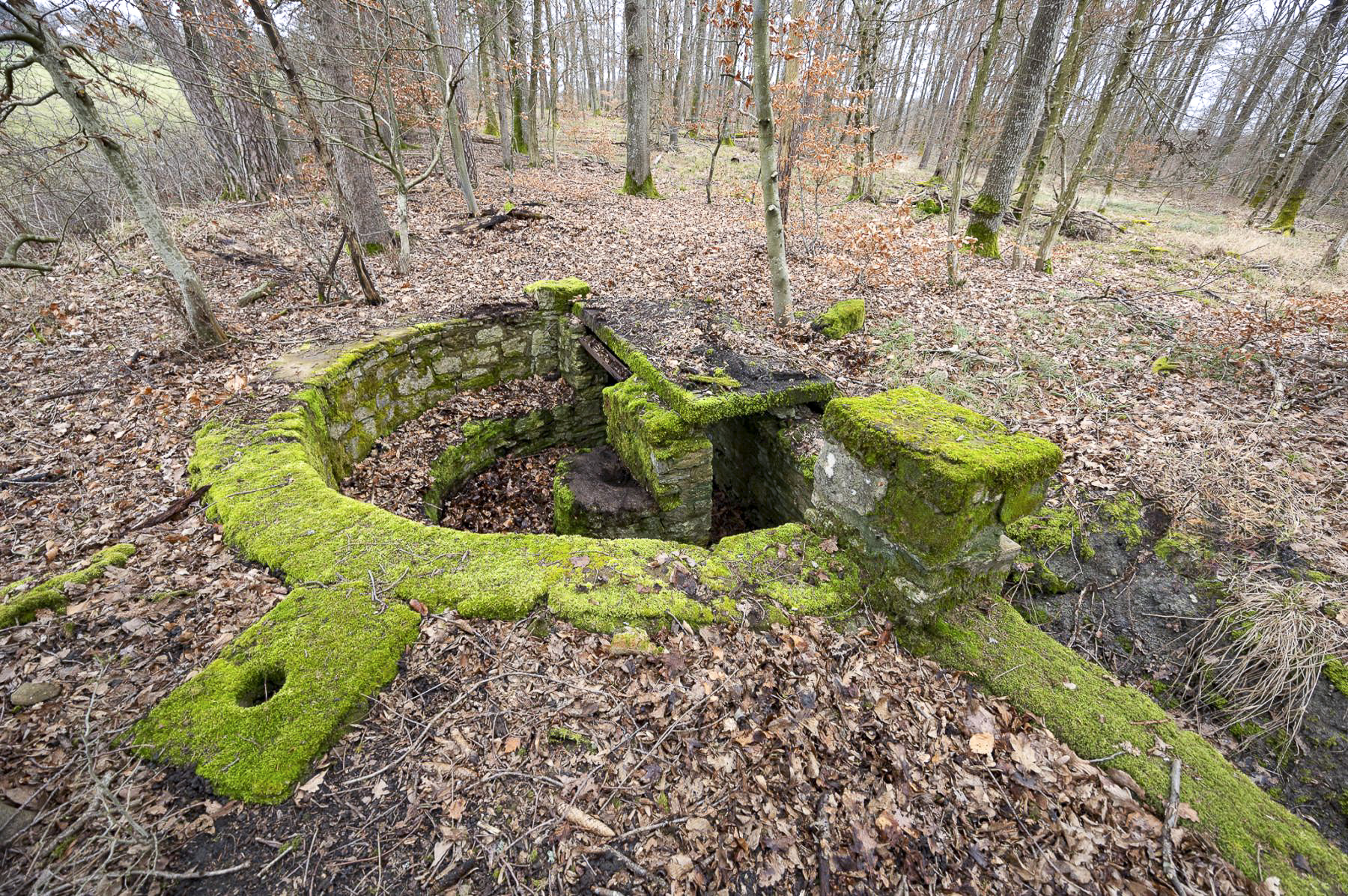 Ligne Maginot - BANNWALD 3 - (Cuve pour arme d'infanterie) -  - Lenhard Christian