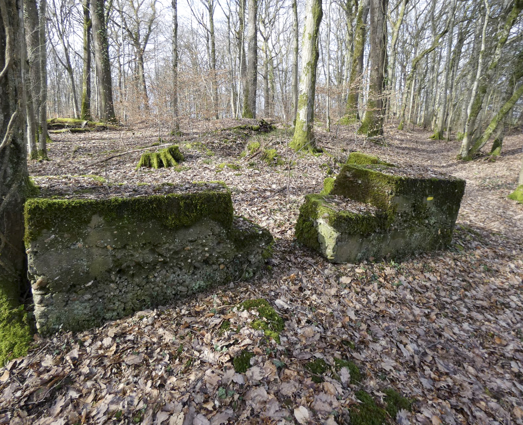 Ligne Maginot - PFAFFENKLAUSERBUSCH 2 - (Blockhaus pour arme infanterie) - Un bouclier pour une arme d'infanterie. - STENGER Mathieu