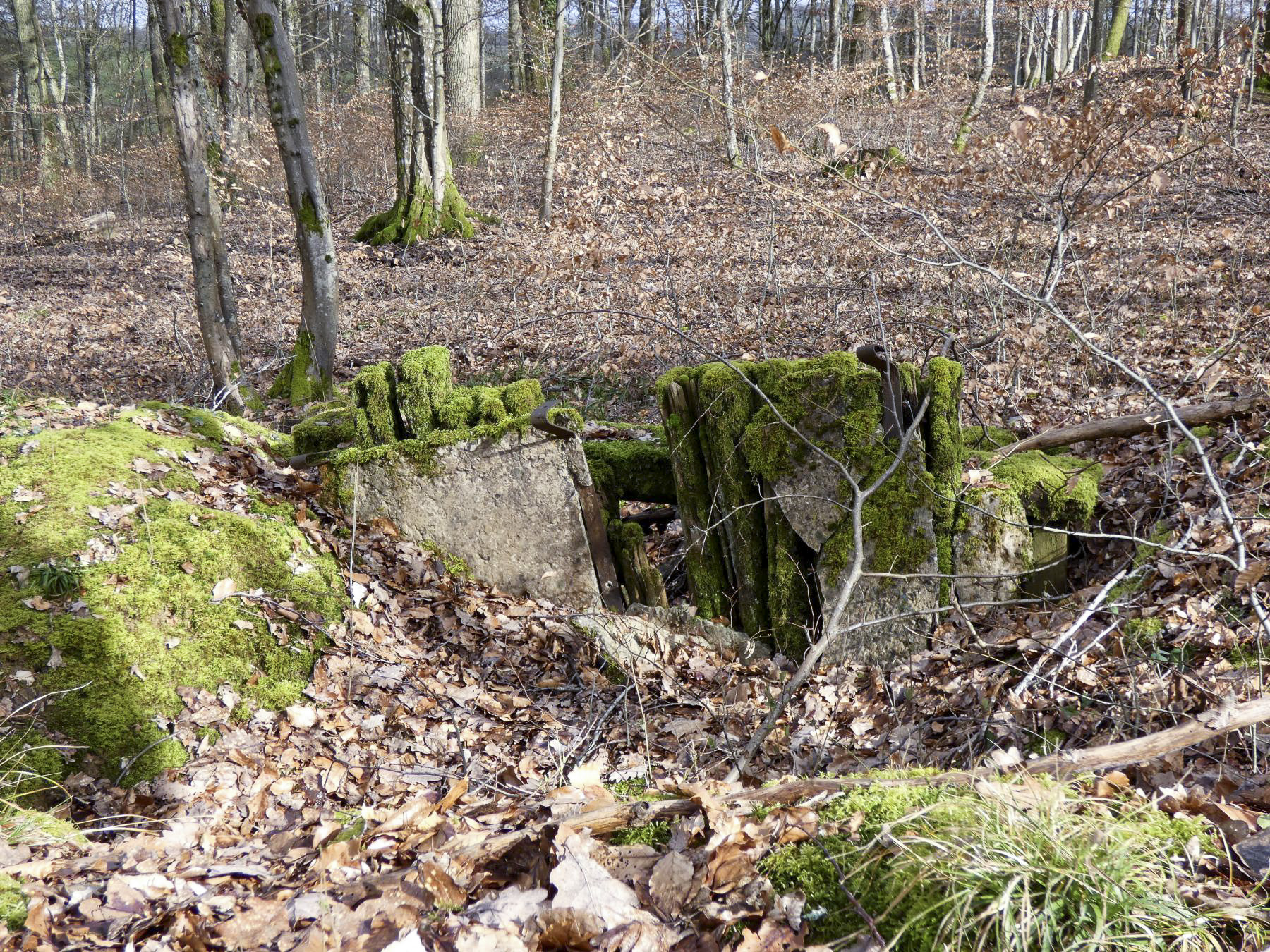 Ligne Maginot - PFAFFENKLAUSERBUSCH - (Abri) - Les restes d'un abri. - STENGER Mathieu