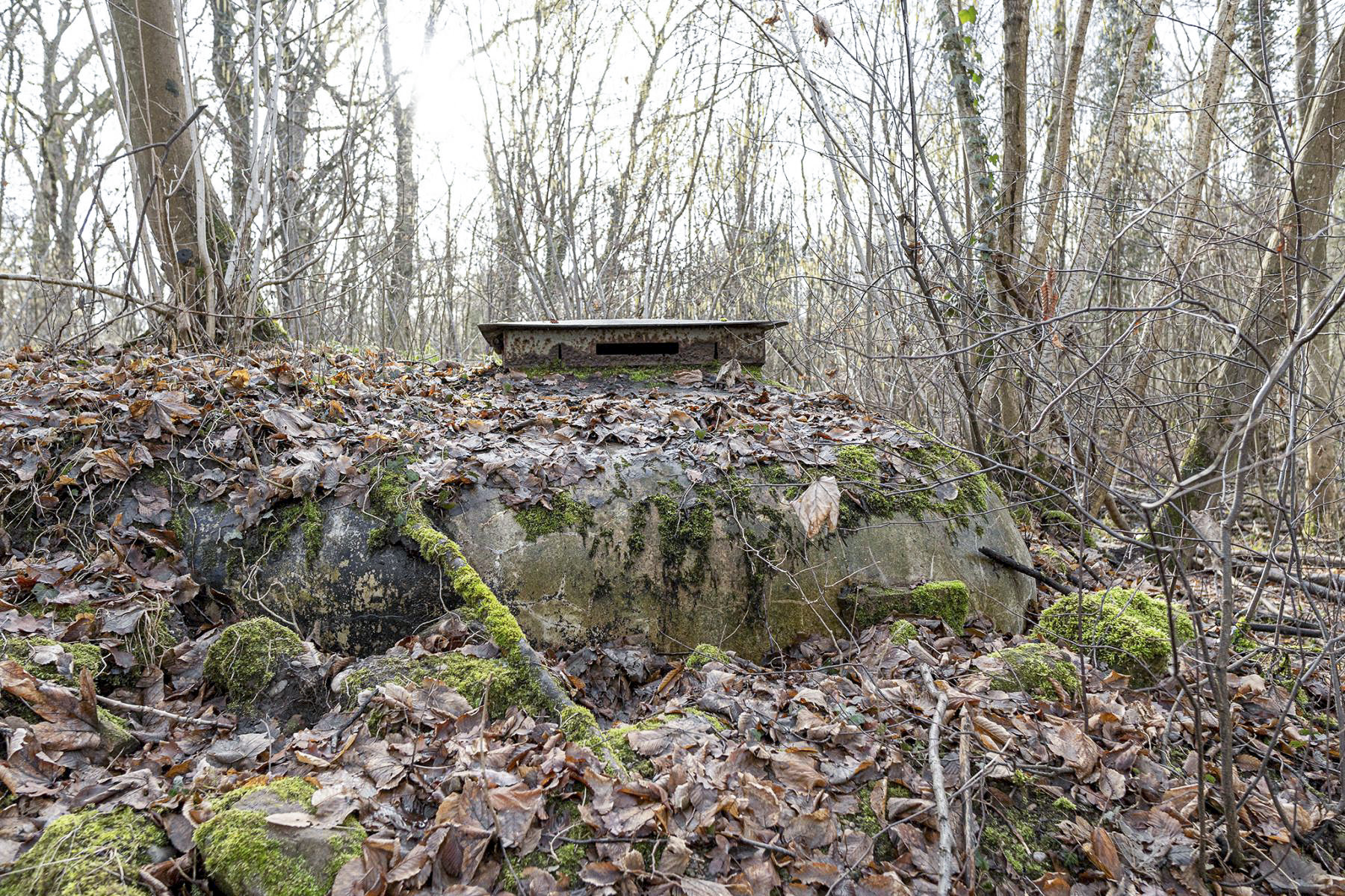 Ligne Maginot - K1 - (Chambre de coupure) -  - David Palmer