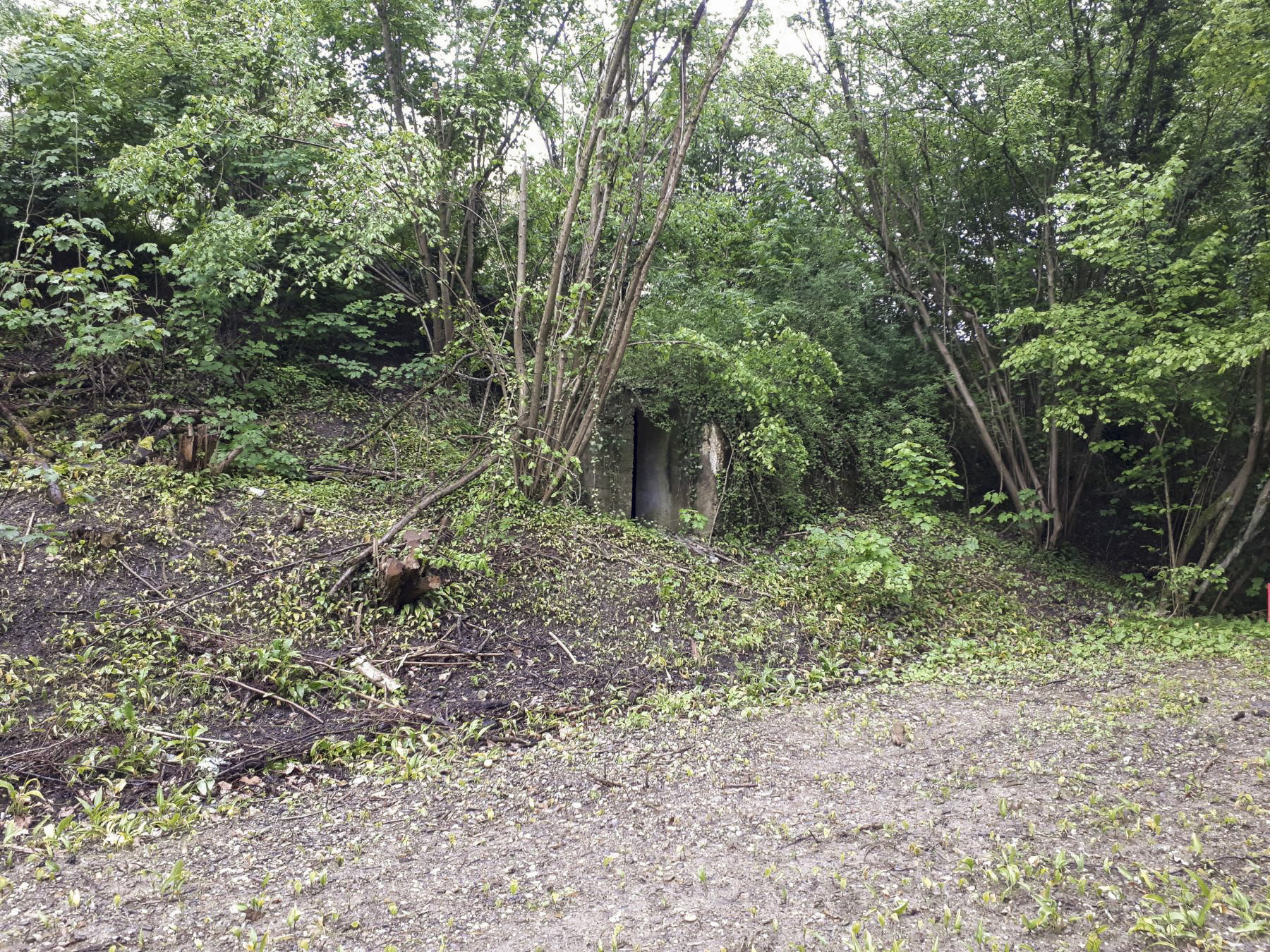 Ligne Maginot - 308E - PORT DU RHIN SUD 32 - (Abri) - L'abri contre le talus de la rue de la Rochelle - Les Gardiens du Rhin