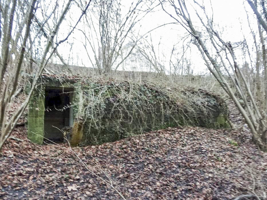 Ligne Maginot - Bloc Port du Rhin Sud 32 - Vue générale - Lionnel SPERANDIO