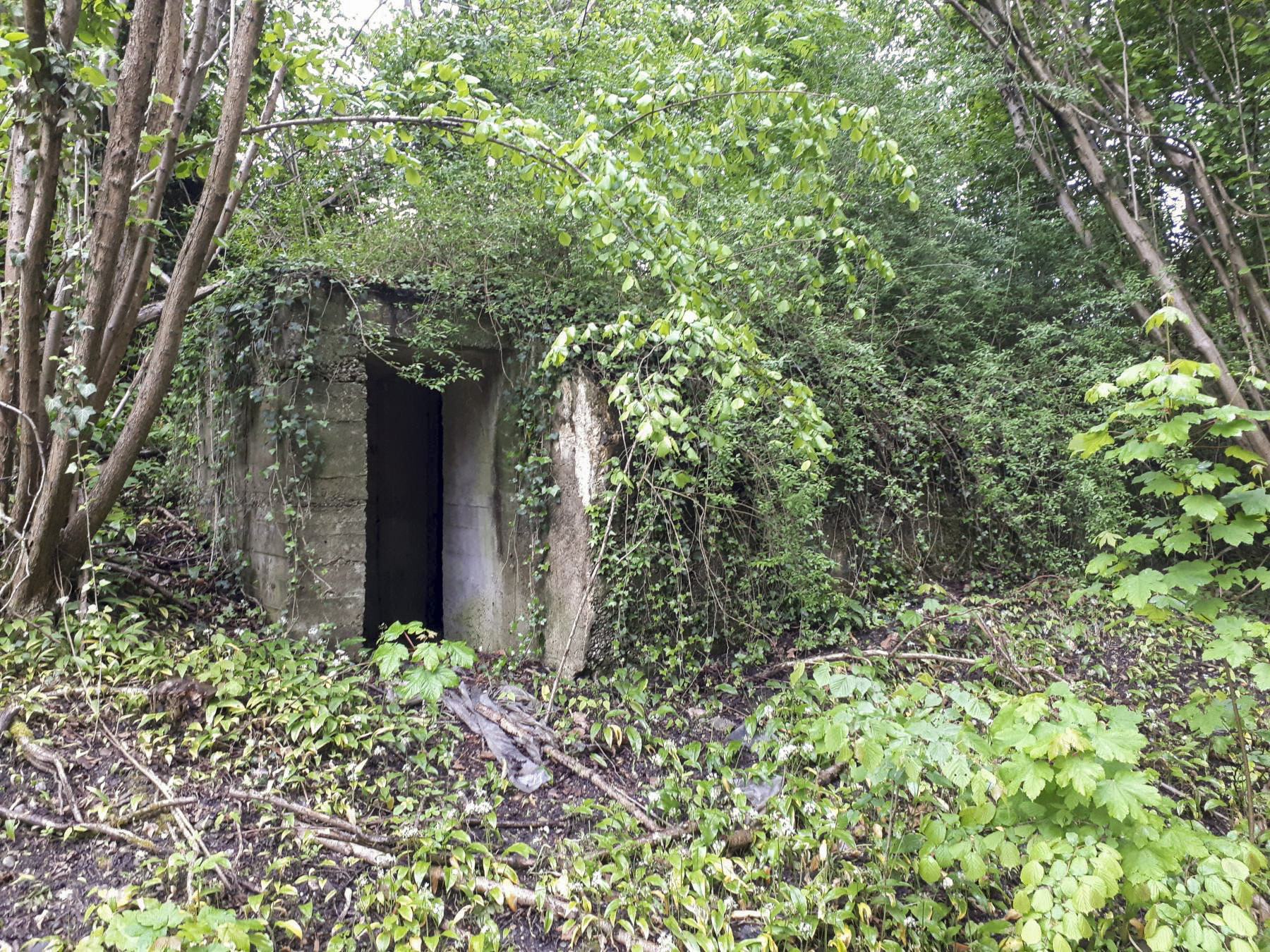 Ligne Maginot - 308E - PORT DU RHIN SUD 32 - (Abri) - L'entrée gauche en chicane - Les Gardiens du Rhin