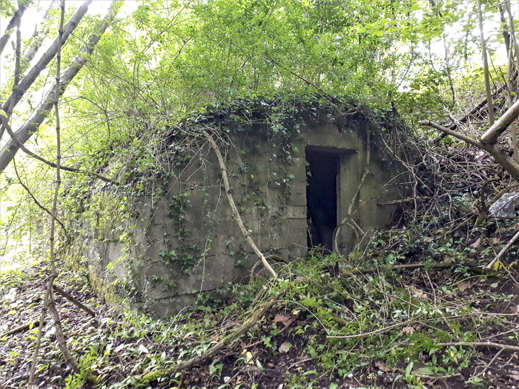 Ligne Maginot - 308E - PORT DU RHIN SUD 32 - (Abri) - L'entrée droite - Les Gardiens du Rhin