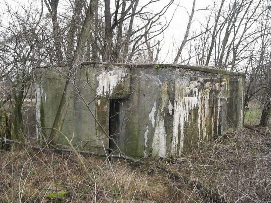 Ligne Maginot - 412G - STAND DE TIR DESAIX - (Blockhaus pour arme infanterie) -  - Les Gardiens du Rhin