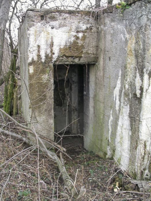 Ligne Maginot - 412G - STAND DE TIR DESAIX - (Blockhaus pour arme infanterie) -  - Antoine SCHOEN