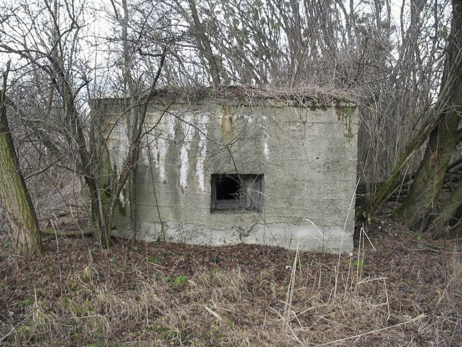 Ligne Maginot - 412G - STAND DE TIR DESAIX - (Blockhaus pour arme infanterie) -  - Les Gardiens du Rhin