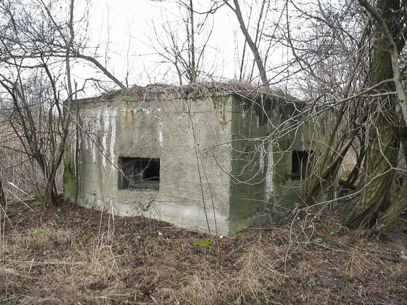 Ligne Maginot - 412G - STAND DE TIR DESAIX - (Blockhaus pour arme infanterie) -  - Les Gardiens du Rhin