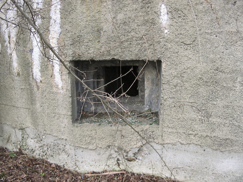 Ligne Maginot - 412G - STAND DE TIR DESAIX - (Blockhaus pour arme infanterie) - Vue des créneaux - Antoine SCHOEN