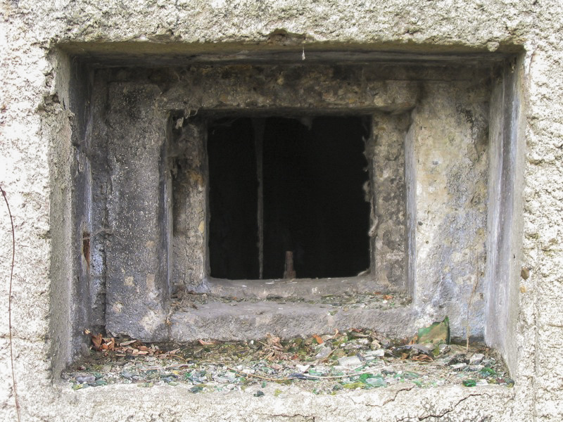 Ligne Maginot - 412G - STAND DE TIR DESAIX - (Blockhaus pour arme infanterie) - Vue des créneaux - Les Gardiens du Rhin
