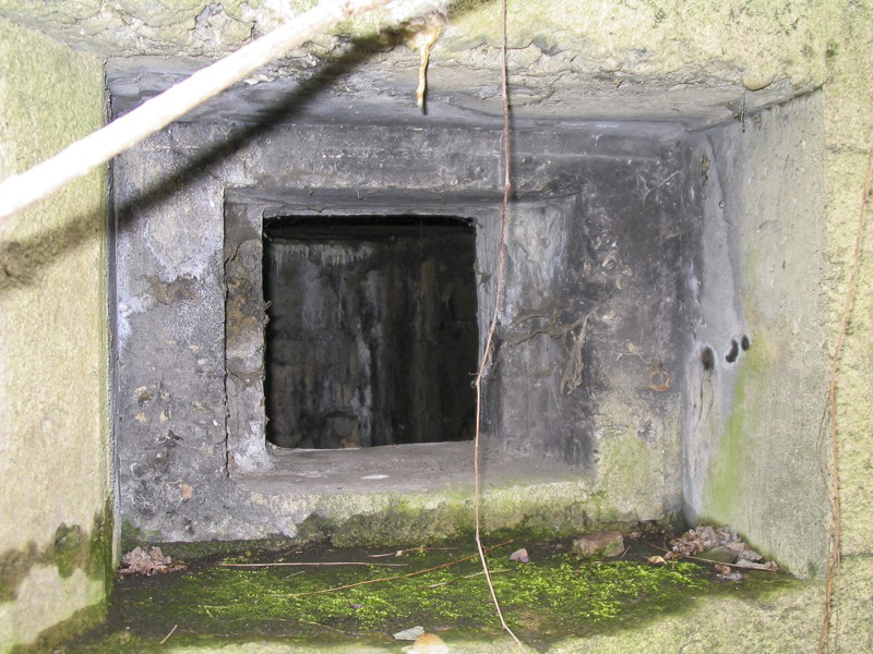 Ligne Maginot - 412G - STAND DE TIR DESAIX - (Blockhaus pour arme infanterie) - Vue des créneaux - Les Gardiens du Rhin