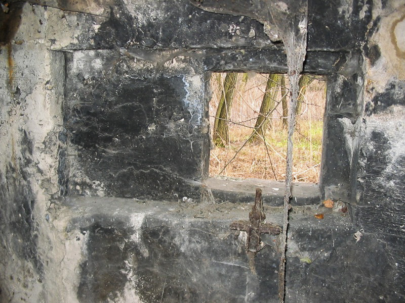 Ligne Maginot - 412G - STAND DE TIR DESAIX - (Blockhaus pour arme infanterie) - Vue des créneaux - Les Gardiens du Rhin