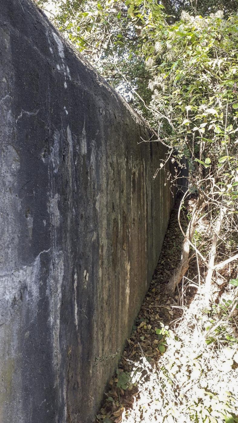 Ligne Maginot - 415 - RIEBEL - (Casemate d'infanterie) - Façade frontale - Les Gardiens du Rhin