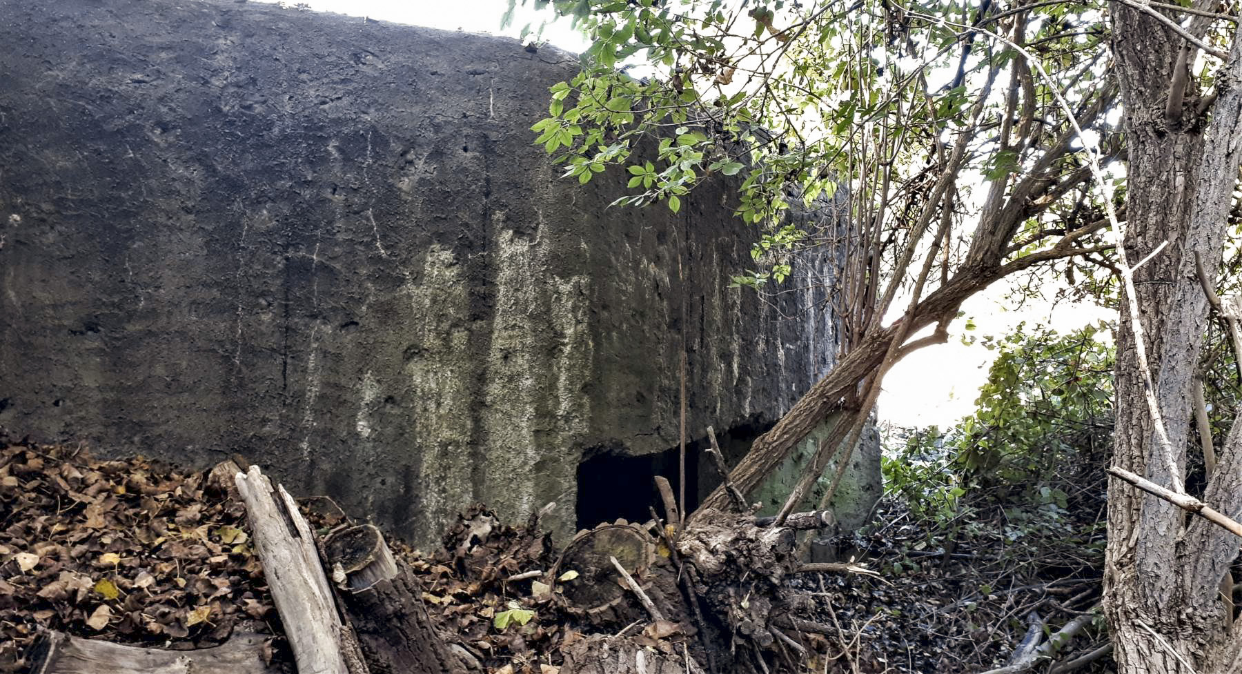 Ligne Maginot - 415 - RIEBEL - (Casemate d'infanterie) - Chambre de tir Nord - Les Gardiens du Rhin