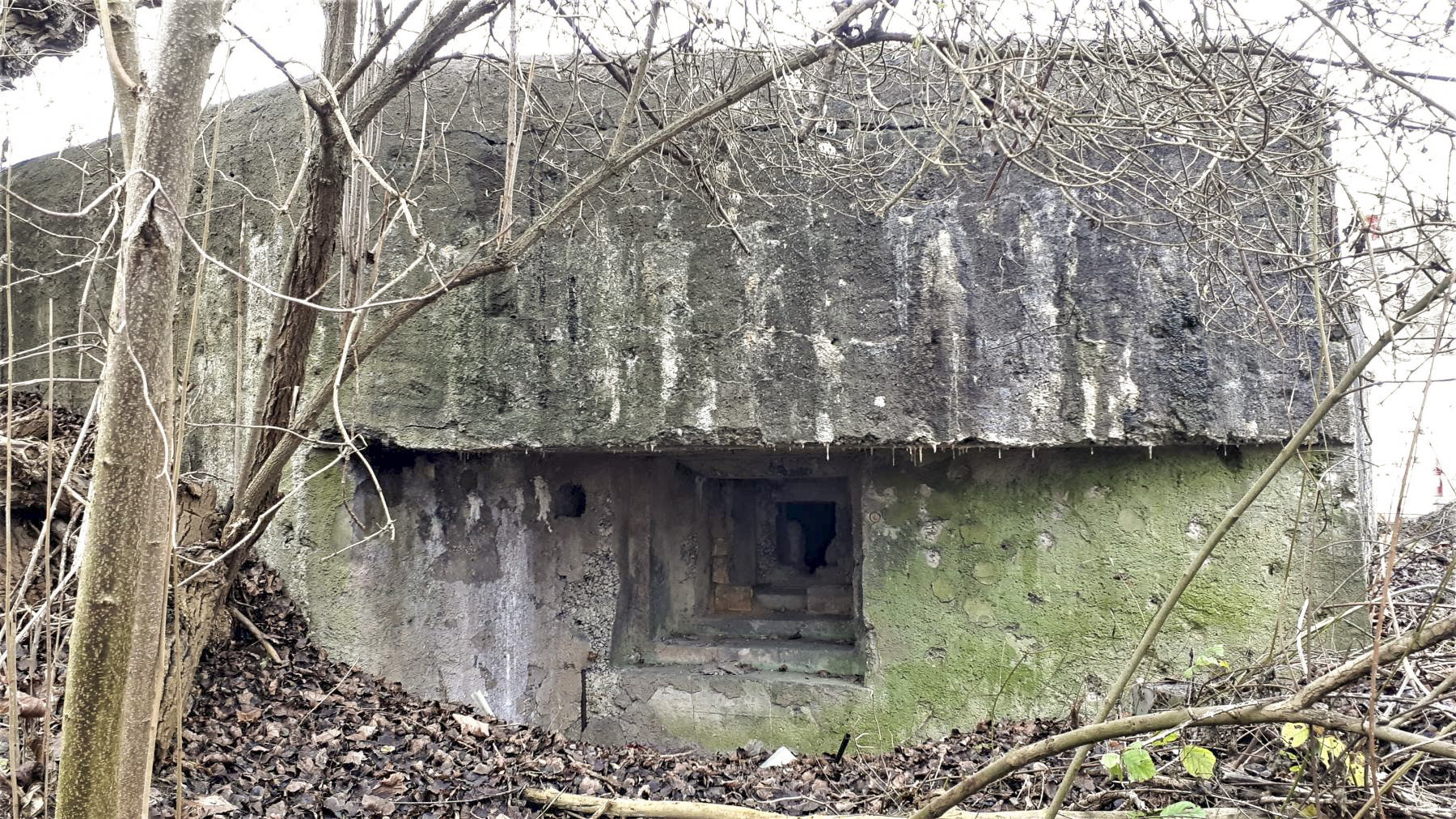 Ligne Maginot - 415 - RIEBEL - (Casemate d'infanterie) - Chambre de tir Nord
Créneau mitrailleuse - Les Gardiens du Rhin
