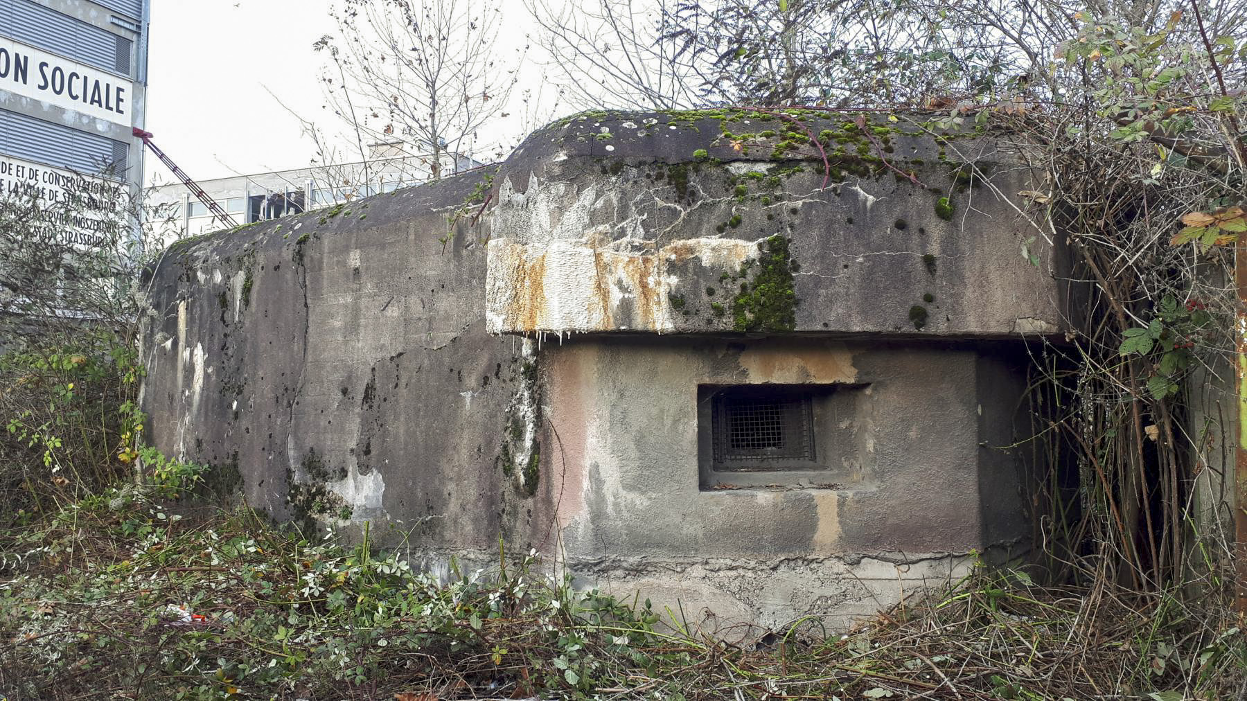 Ligne Maginot - 430G - PORT DU RHIN CENTRE 11 - (Blockhaus pour arme infanterie) - Créneau est - Les Gardiens du Rhin