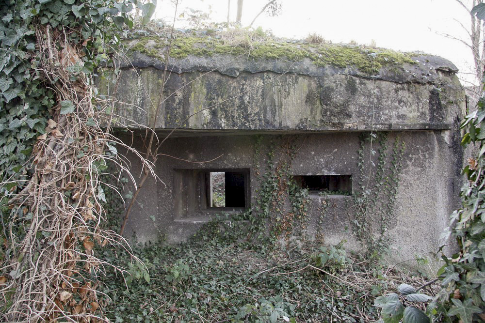 Ligne Maginot - 476 - BASSIN LOUIS ARMAND 1 - (Blockhaus pour canon) - Façade frontale avec les créneaux pour canon et mitrailleuse - Alain Perouffe